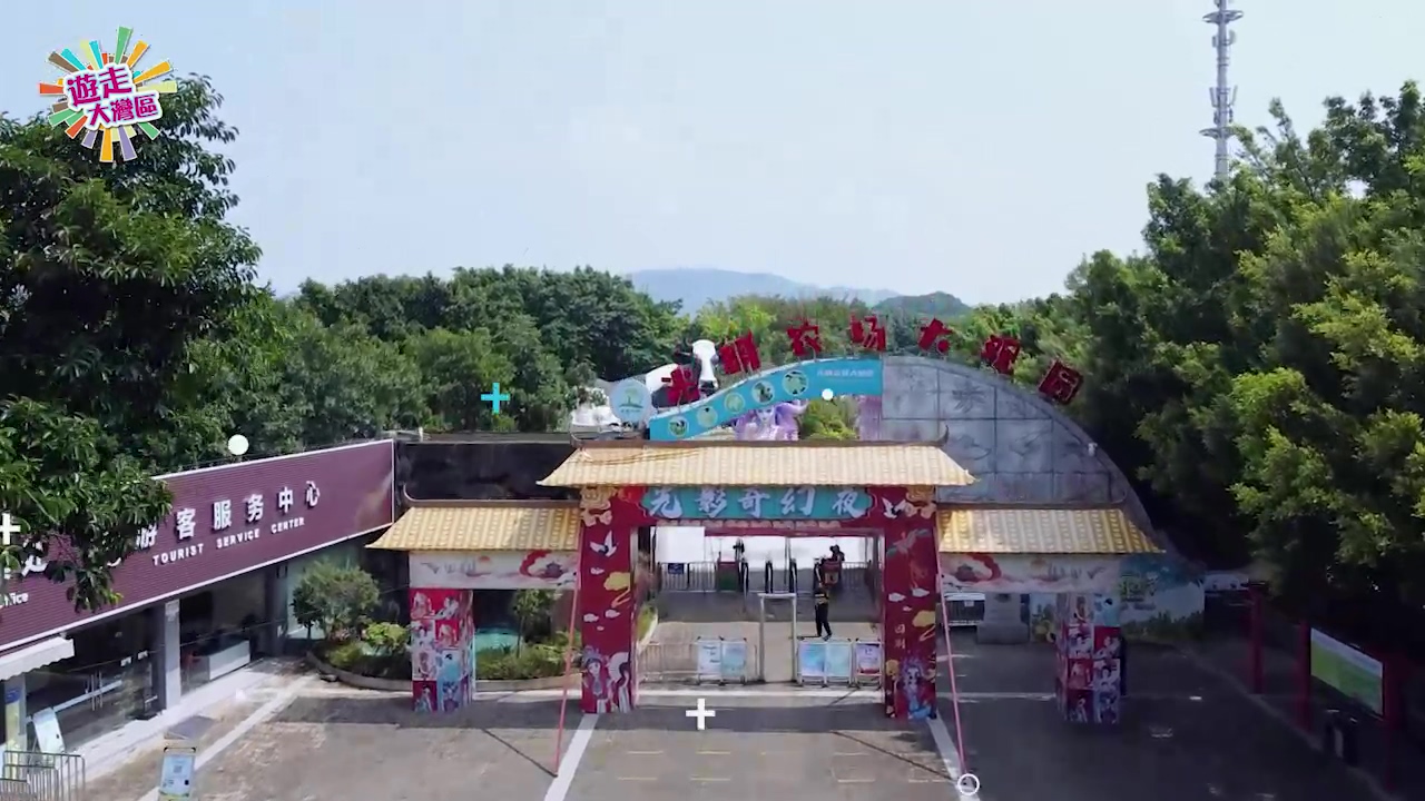 【遊走大灣區】深圳光明 覓食賞景一日遊